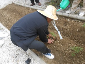 DSCN3997