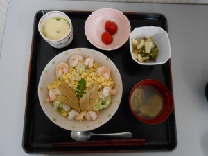 DSCN5237