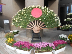 DSCN5956