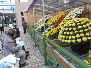 DSCN6049