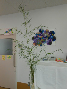DSCN4590