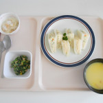 DSCN5241