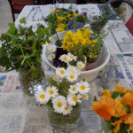DSCN9834