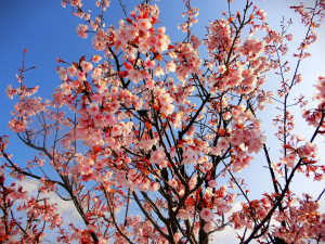 春の暖かさを感じる空と一緒に(♡.♡)