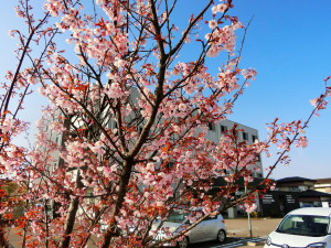 当施設を背景に(≧▽≦)