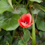 DSCN0738