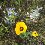 DSCN0768