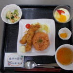 DSCN0828